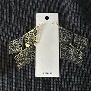 Express Earrings (New)